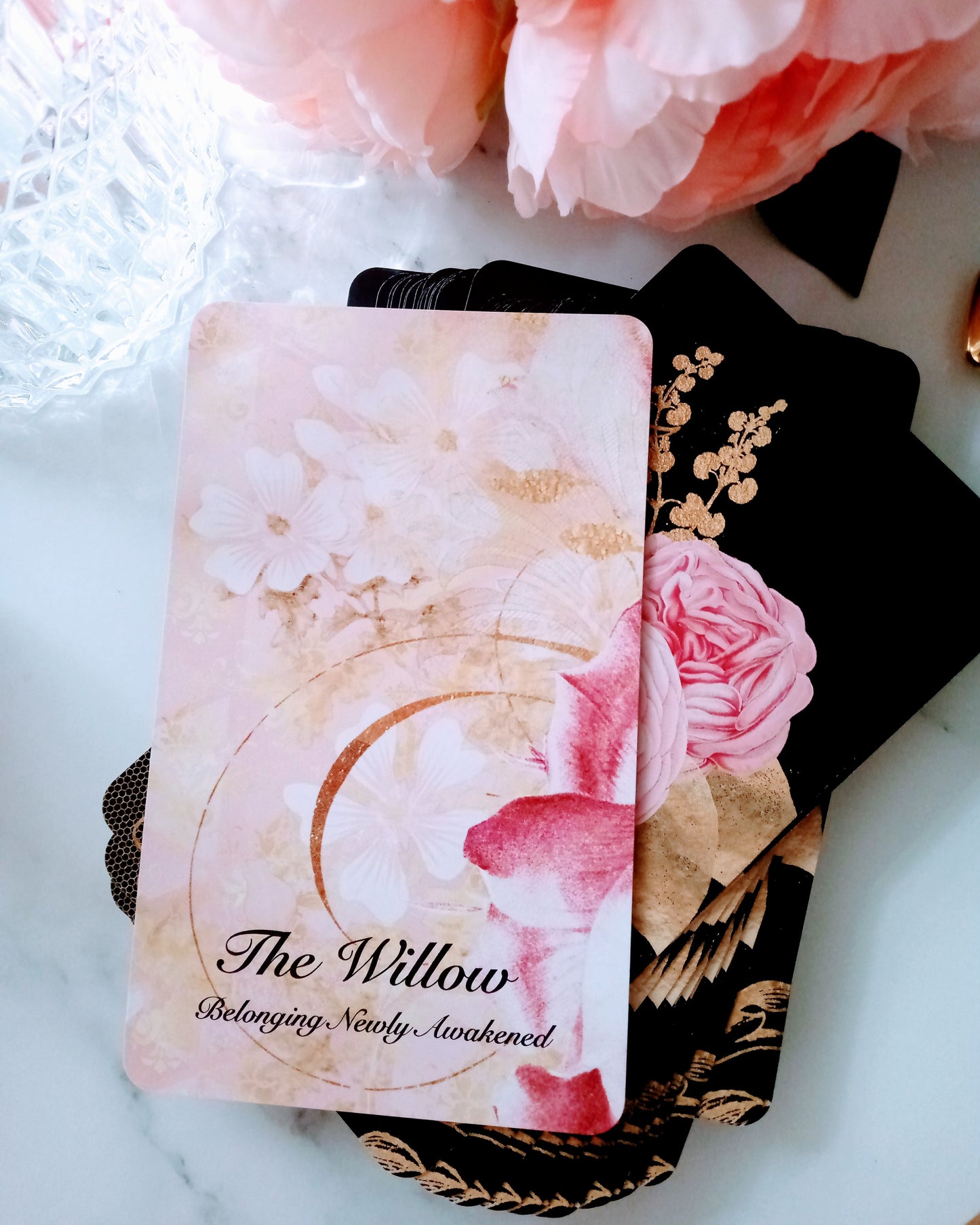 The Darling Bloom Oracle